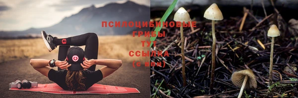 спайс Белокуриха
